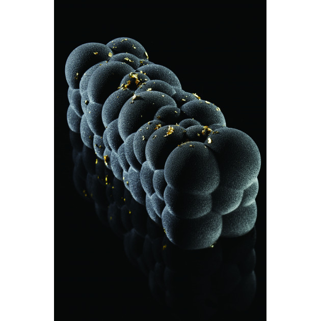 Molde silicona Atomic 25 x 8 cm x 8 cm de altura Pavoni 