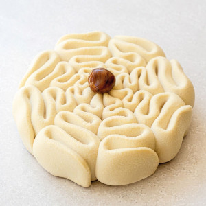 Molde de silicona Dentelle 18 cm x 5 cm de altura Cédric Grolet Pavoni