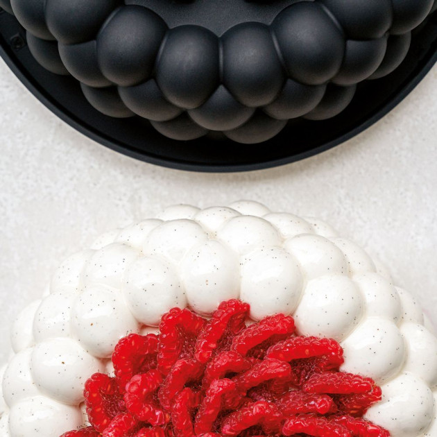  Molde silicona horno 