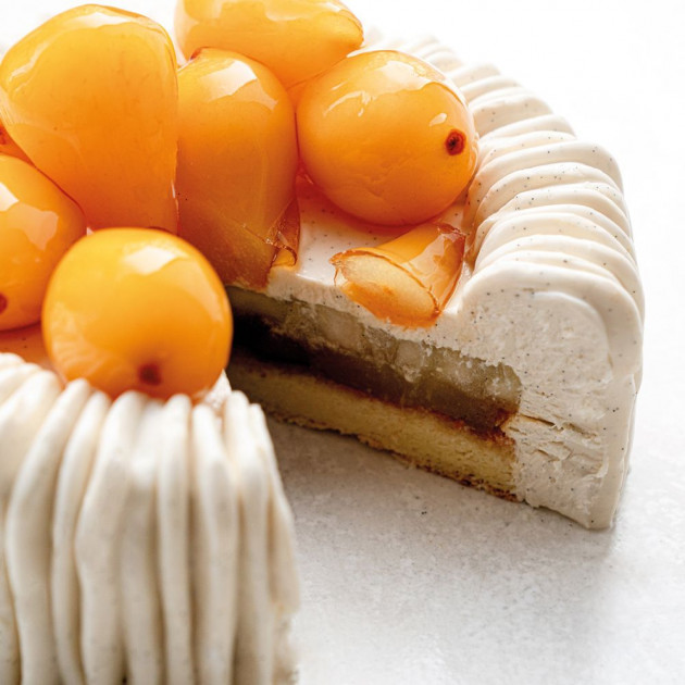 Molde silicona horno