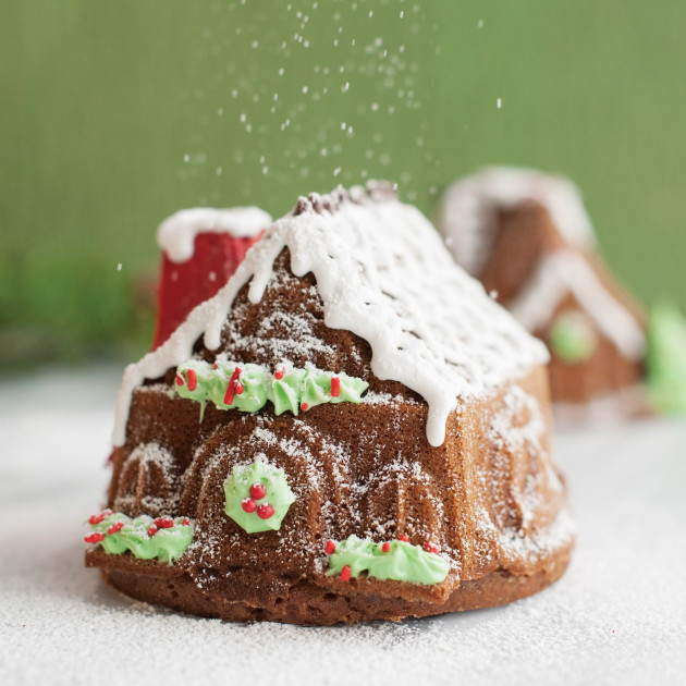 Molde para Bizcochos